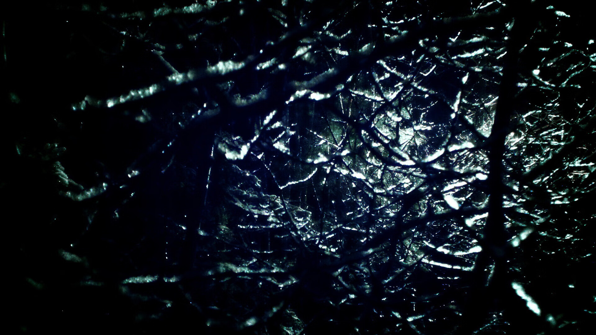 开云官方网页登录-塞内加尔马术协会与美洲马术协会合作，举办国际马术交流活动，促进文化互鉴。