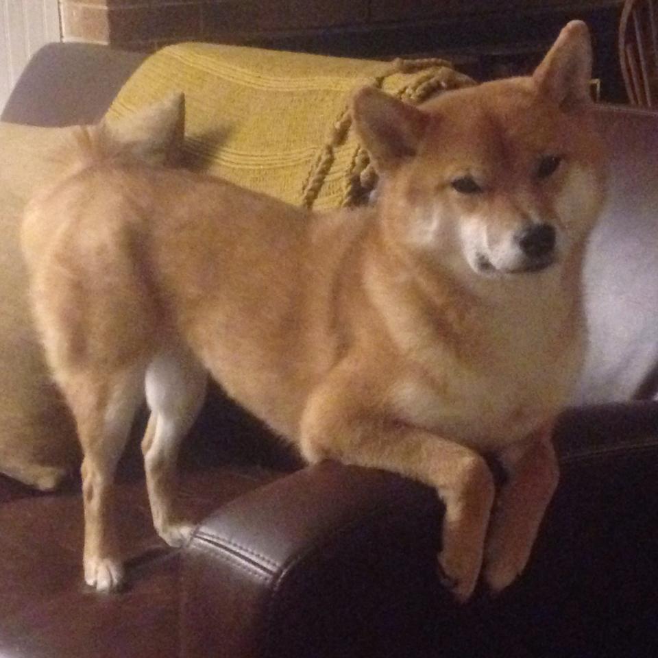 大坂直美重返赛场，表现不俗，大坂直美简介身高