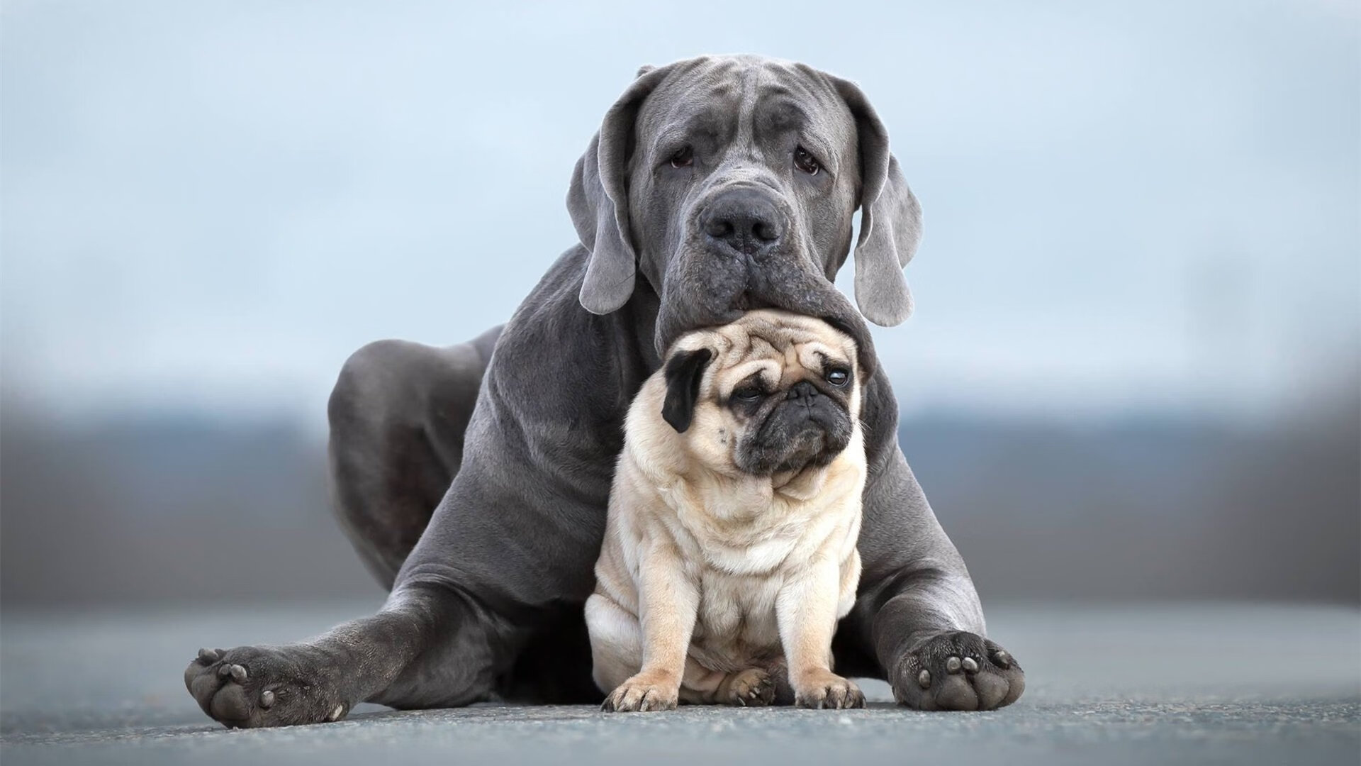 开云体育-意甲联赛保持高度竞争，精彩不断，意甲赛制介绍