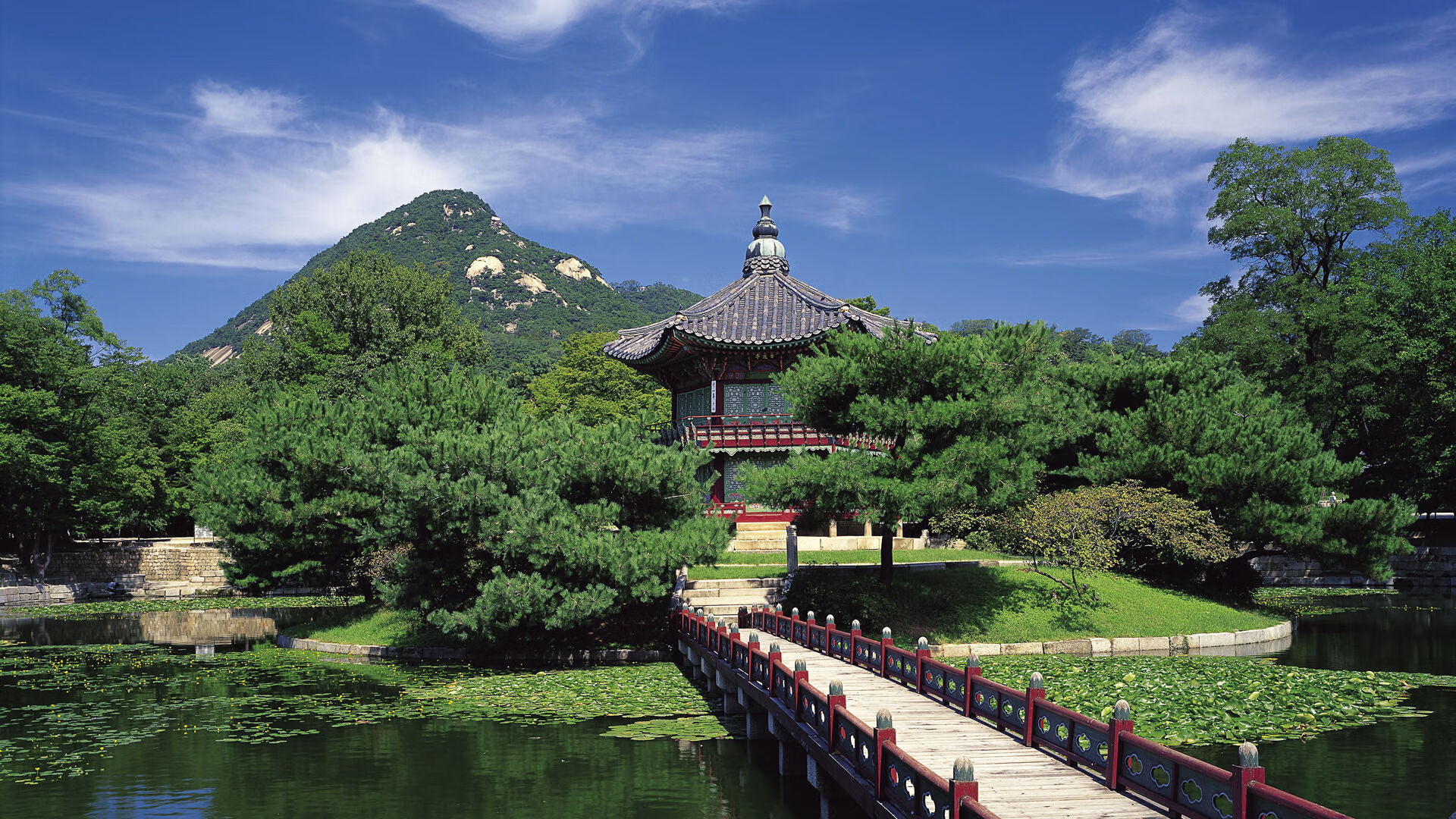 开云官方-特色青训营地获多项国家专利，行业创新能力持续增强，青训营是什么