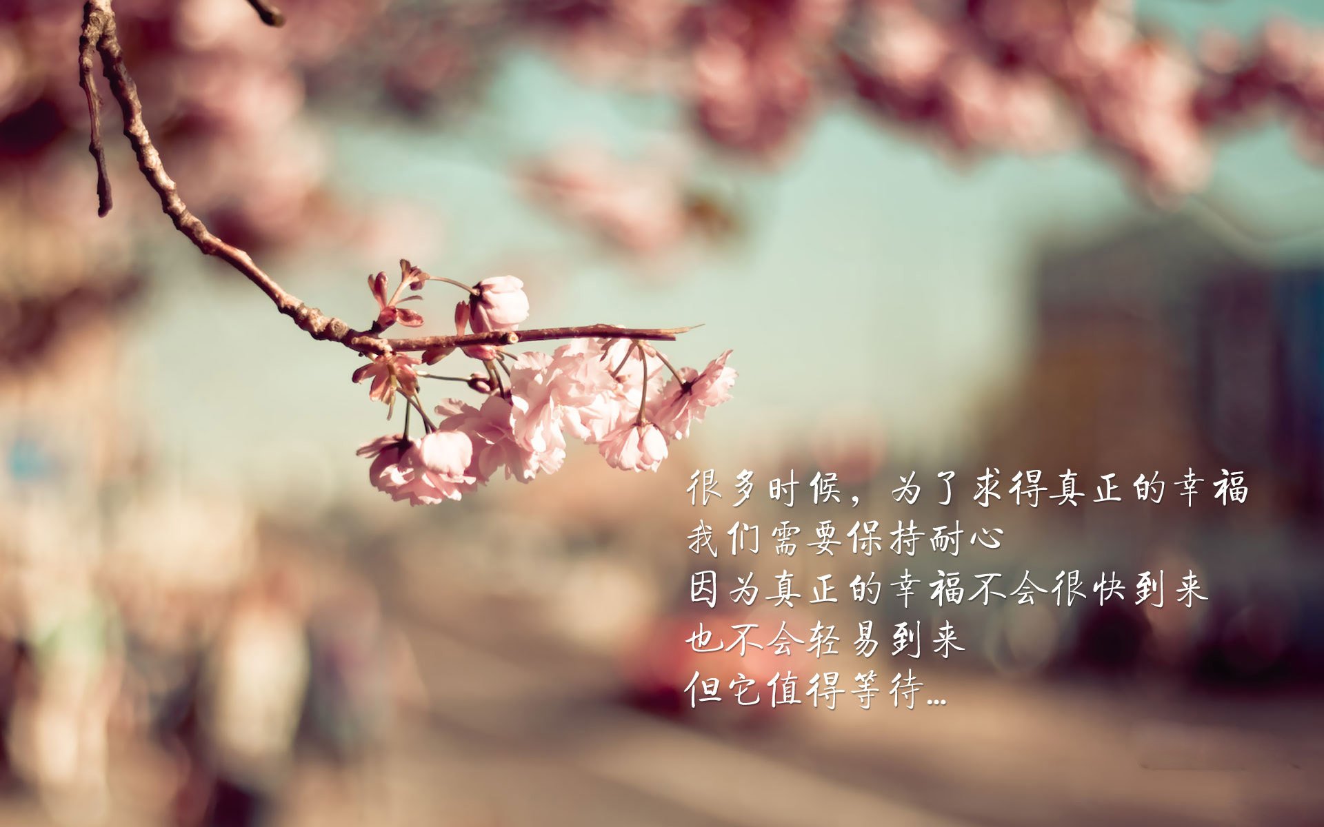 开云体育-南安普顿：重返英超的挑战，南安普顿是英超球队吗_