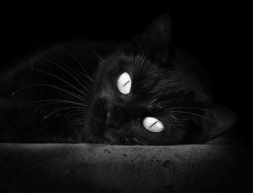 开云·体育官网-德国大国足险胜摩尔多瓦，向前进发出强烈信号，德国踢足球