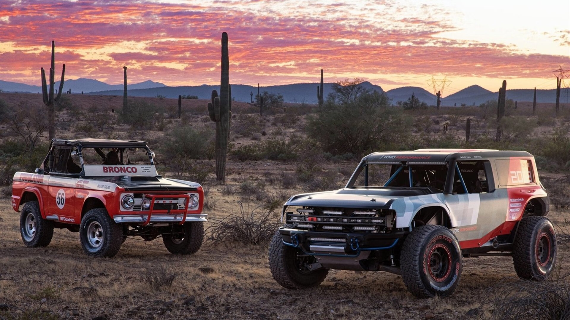 法国主帅回应批评:我全盘负责,法国足球主帅