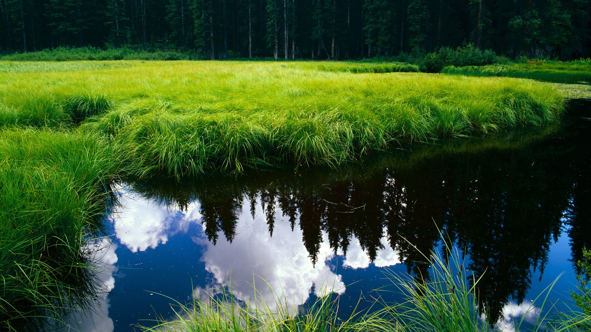 Kaiyun(中国)开云-法兰克福主场逆转胜利，连胜势头强劲，法兰克福最新转会