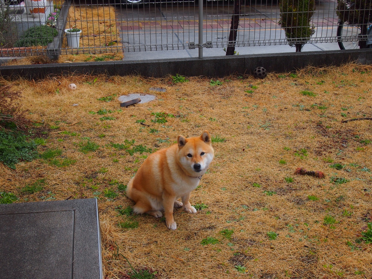 王者荣耀赛事评审组设立“公正观察员”席位