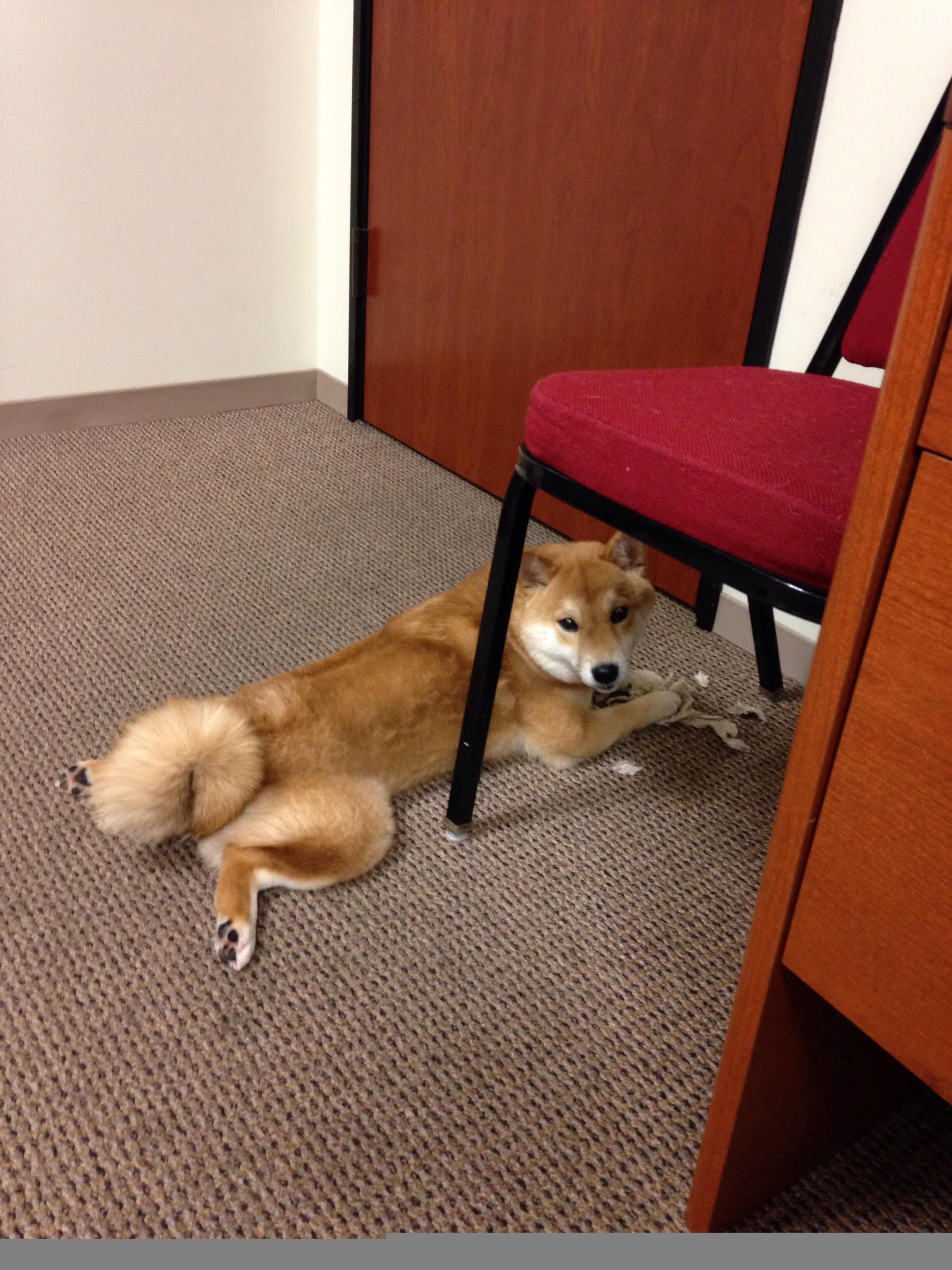 阿利松在对阵阿森纳的比赛中扑出关键点球，阿利松穿过几号球衣