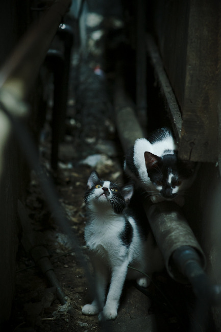 Kaiyun(中国)开云-骑士团队合作失误，再次吞下败绩，骑士队伍成员