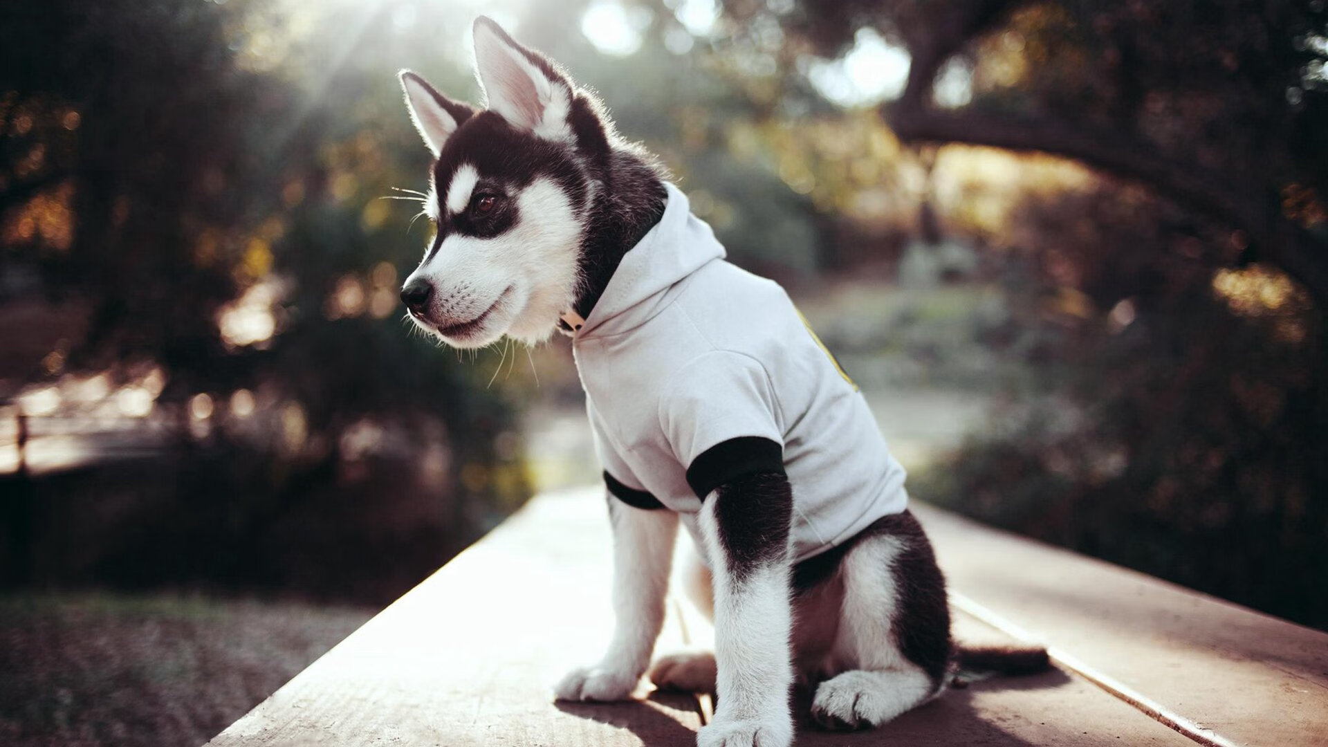 中超防守球员对抗强度分布趋势，中超防守反击球队