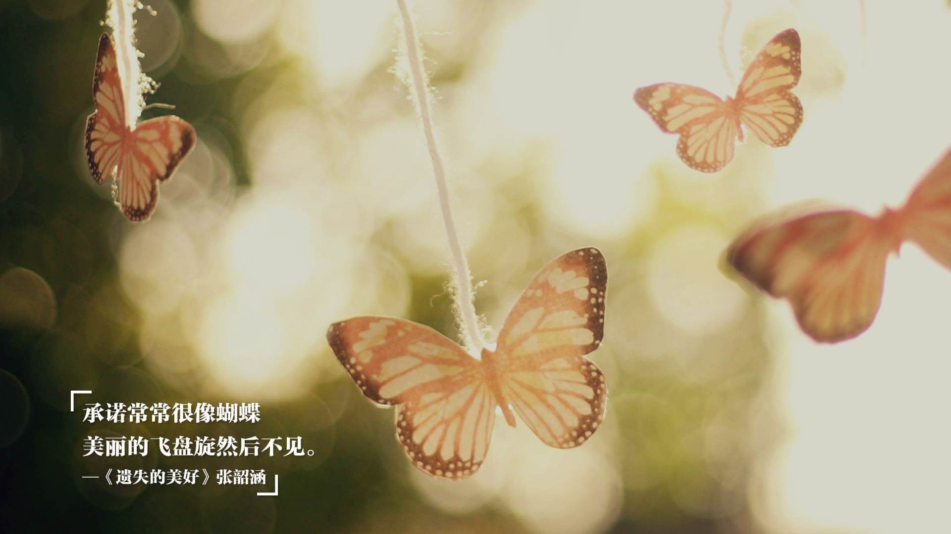 中超球队比赛战术调整，中超联赛分析