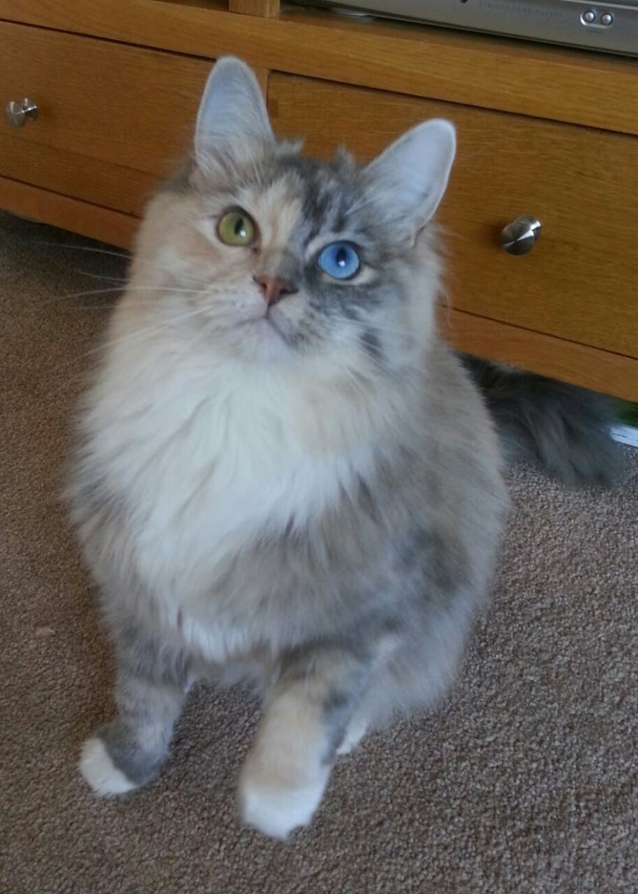 中老年人健身行为习惯及引导策略，中老年人健身如何科学安排体育锻炼