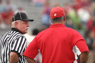 开云网页版-意甲裁判语义分析辅助判罚准确性的应用探讨，意甲裁判名单