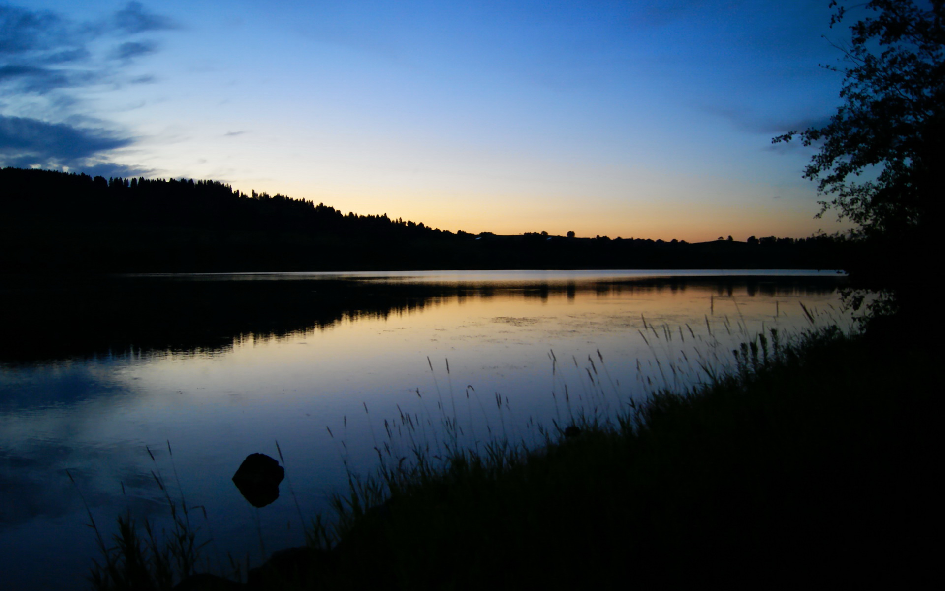 开云·体育官网-自由泳组表现亮眼，接力项目或成突破口，4×200自由泳接力全程回放