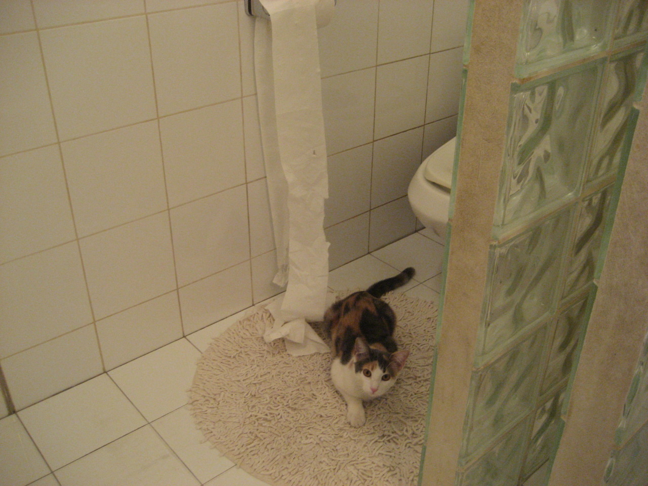 运动员康复中心启用提升恢复保障能力，运动员康复师一个月多少钱