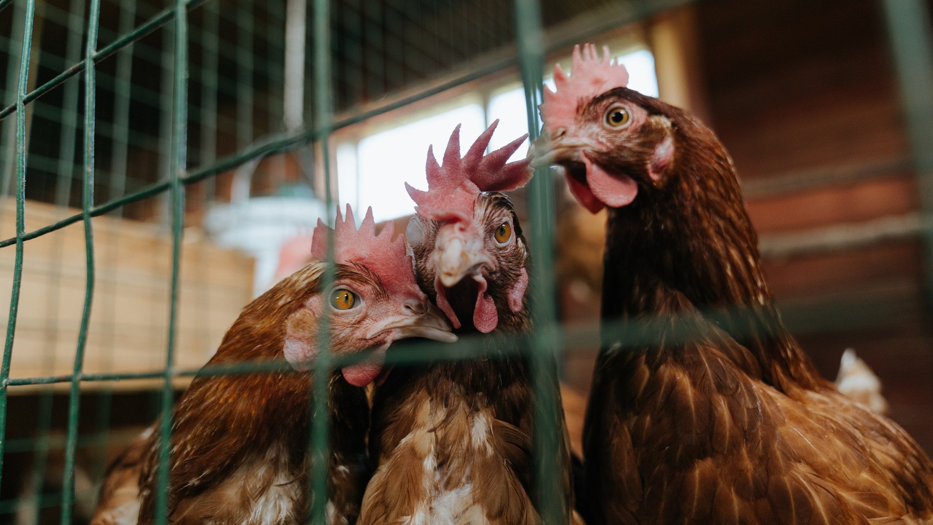 体育新闻中心公布运动员数据合规管理机制方案