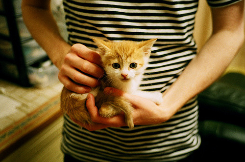 kaiyun登录入口-篮球赛事宣传推广多渠道展开扩大影响力和关注度，篮球比赛宣传推文