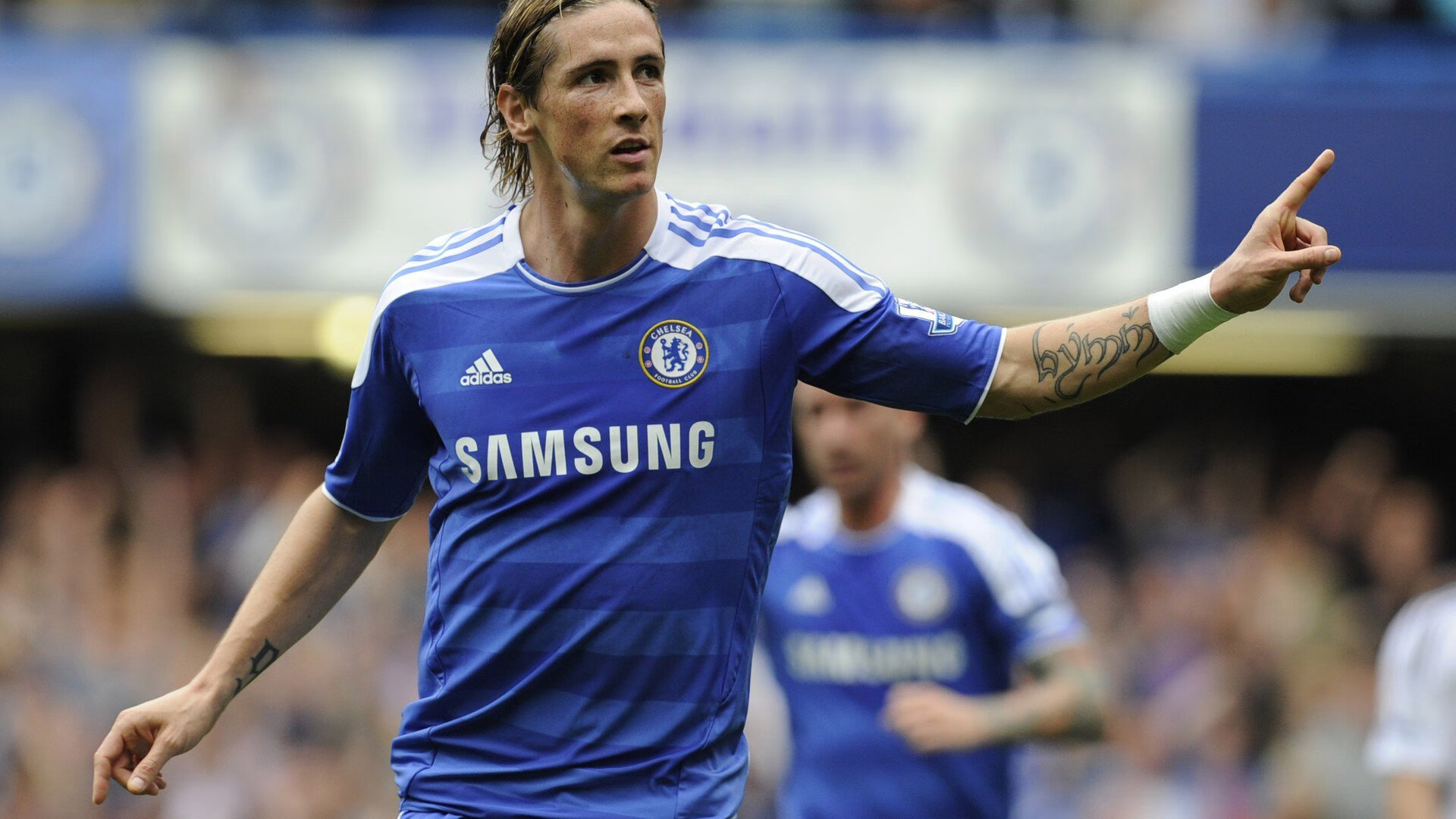 “擂台争锋，自由搏击赛事见证巅峰对决！”